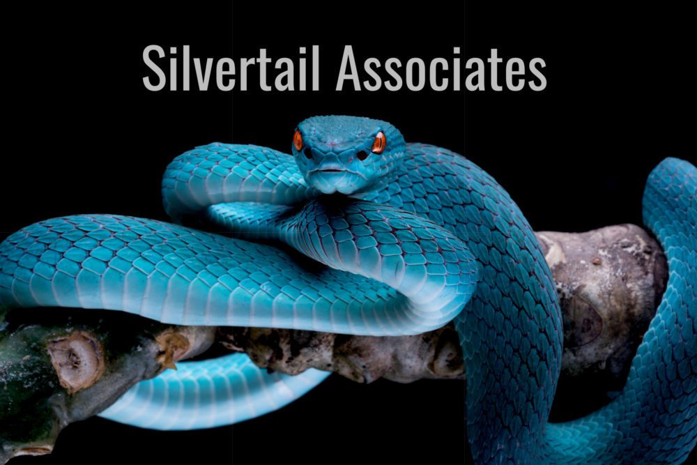 Silvertail Associates