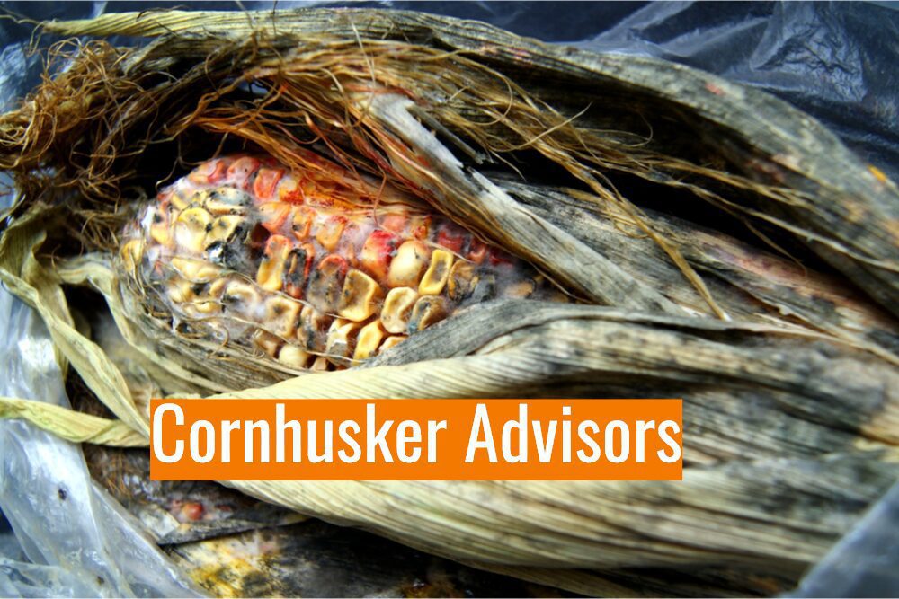 Cornhusker Advisors