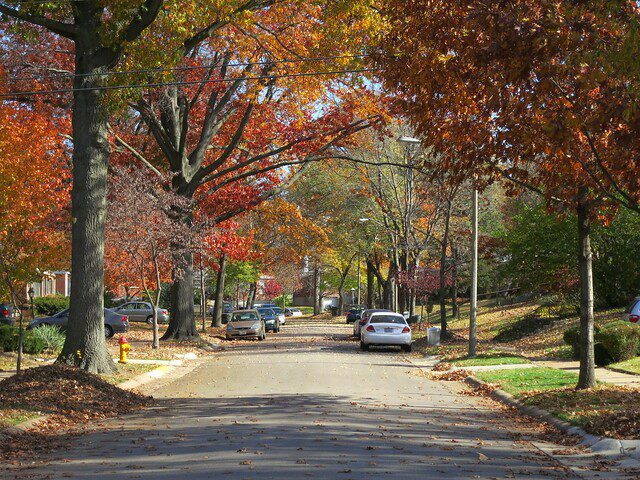 Stuart Bienenstock Playground Selects 25 Best Suburbs In America 9 Stuart Bienenstock Playground Selects 25 Best Suburbs In America 9